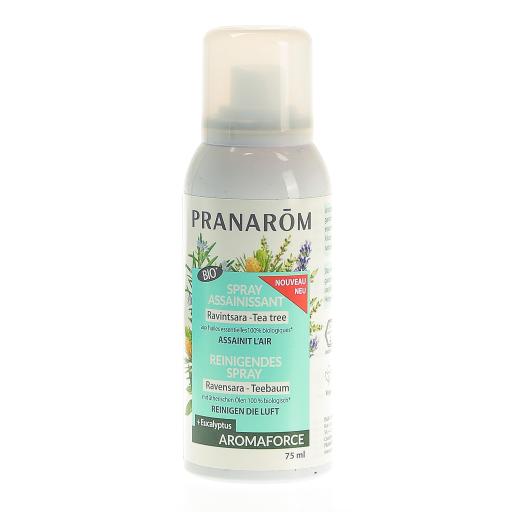 Spray assainissant Ravintsara - Tea-tree - Bio